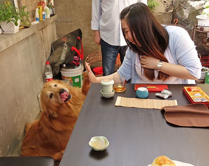 Xiao Ziao gets a "high five" from the family dog, Zai Zai. (Jock Lauterer photo)