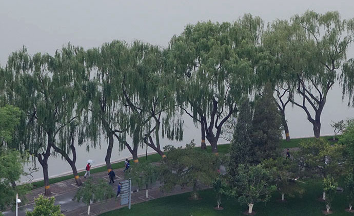 Like a scene from an old China porcelain plate, trees and strolling residents are framed against a Beijing park lake. (Jock Lauterer photos)